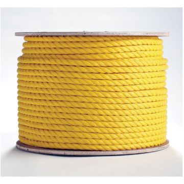 Erin_Rope_TWPY060600.jpg