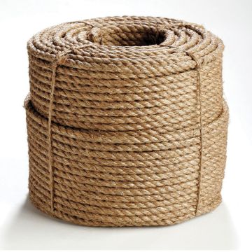 Erin_Rope_TWM080100.jpg