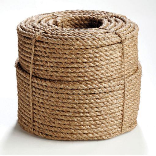 Erin_Rope_TWM080100.jpg
