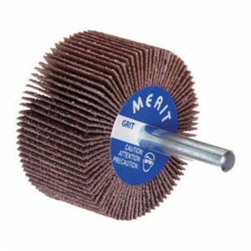 Merit_08834131259.jpg