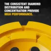 DeWALT_DW4774_4.jpg