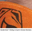 Black_Stallion_35KCR_2X_3.jpg