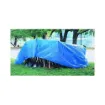 Anchor_2020_TARP.jpg