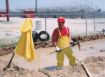 MCR_Safety_O703L.jpg