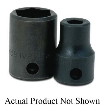 Williams_2_608_APNS.jpg
