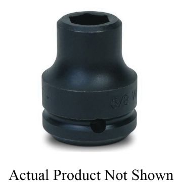 Williams_6_618A_APNS.jpg