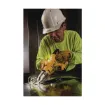 DeWALT_DCS494M2_4.jpg