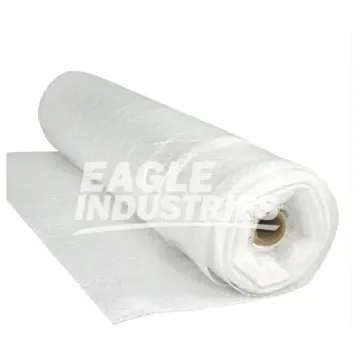 Eagle_DS6_20100.jpg