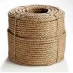 Erin_Rope_TWM080100.jpg