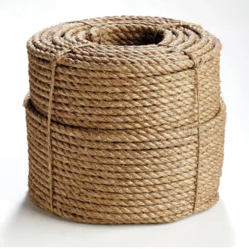 Erin_Rope_TWM080100.jpg