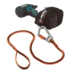 Squids_19808_2.jpg