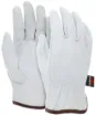 MCR_Safety_3611M.jpg