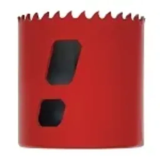 Morse_177269.jpg