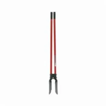 Razor_Back_78006.jpg