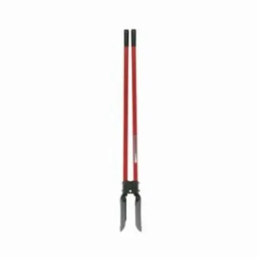 Razor_Back_78006.jpg