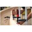 Bessey_3101179_1.jpg