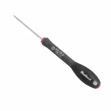 Blackhawk™ by Proto® ST-T8-2 Screwdriver, T8 Torx® Point, Alloy Steel Shank, 5-13/16 in OAL, Polished Chrome, ASME B107.600