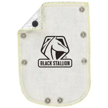 Black_Stallion_580AN.jpg